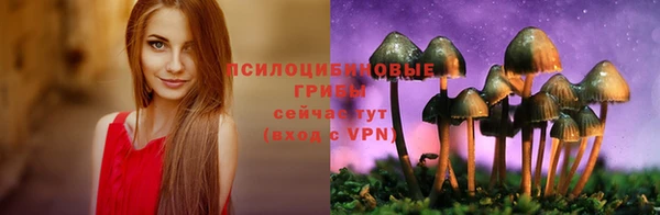 герыч Семилуки